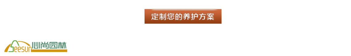 yp街机·电子游戏(中国)最新官网