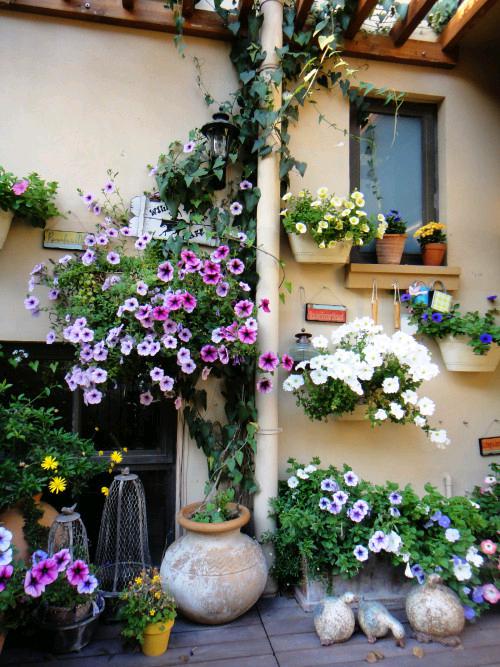 yp街机·电子游戏(中国)最新官网